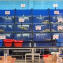 한국카25시 이미지