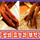 ★ 홍삼의 효능과 부작용 ★ 이미지