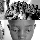 비디오천국 이미지