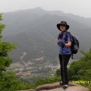 초례로 이미지