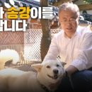 송강마루
