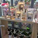 소화초등학교 | [대구/동구] 동대구역 꽃집 '소화초' 방문 후기/매일 영업하는 꽃집, 생화 꽃다발·꽃바구니 구매용