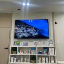 그레이시 여성의원 이미지