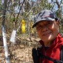 정읍북초등학교 이미지