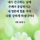 하늘과열매(주) 이미지