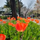 공암나루근린공원 이미지