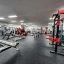 다윗헬스클럽 이미지