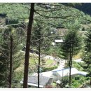 원창4리 이미지