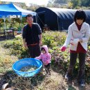 동기농장 이미지