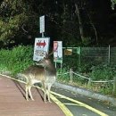 은파호수공원 9-7 이미지