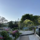 오남13(한신@) | 남양주 오남 진접 테라스 야외정원이 있는 청와살롱 카페 후기
