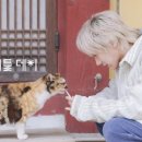 리틀데이