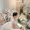 원수산제 및 관련자료 | [본식 후기] KU컨벤션 웨딩홀 대만족 후기 :)