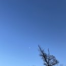 미니스톱 난지1점 이미지