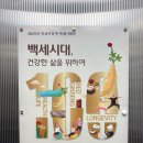 인삼박물관 | 경북 영주인삼박물관 아이들과 가볼만한 곳 추천