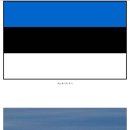 에스토니아 국기의 비밀 이미지