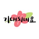 가나조경