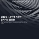 CBDC 공략하는 라인…'라인 파이낸셜 블록체인 플랫폼' 공개 이미지