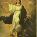 강복음 카카오 검색결과