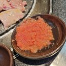 숙성도실버