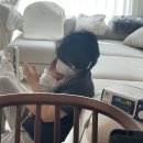 조은맘산후도우미 - 포항시 북구 새천년대로 1210 | 조은맘산후도우미