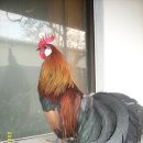 계 이미지