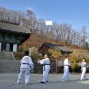 실버태권도 이미지