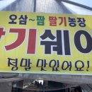 오삼~팜 이미지
