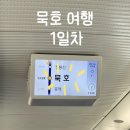 111호프로젝트 | 여행: 어향-끼룩상점-두두달 업사이클링-111호 프로젝트-카라멜 스테이션-연필뮤지엄-묵호해물떡볶이