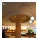 발리스파테라스5 이미지