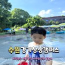 장기쉼터 바닥분수 | 수원 경기상상캠퍼스 바닥분수 아이와 여름 물놀이 명소