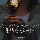 바른코프 Daum카페