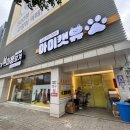 아이캣 고양이미용 호텔 이미지