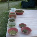 동천농장 이미지