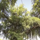 상주 청간정 이미지