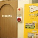 대구애견미용 강아지호텔 모여라솜뭉치 이미지