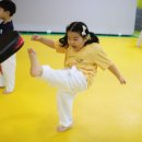 한샘태권도장 이미지