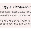 알로하풍선 이미지