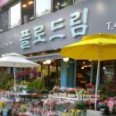 플로드림 이미지