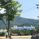 초정약수로1L 네이버블로그