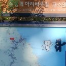 올림픽아리바우길 | 강릉 올림픽아리바우길 7구간 : 4시간 소요(11.7km), 난이도 중