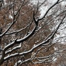 &lt;박광진 : 자연의 속삭임 전시 후기 (서울시립미술관)&gt;