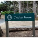 Monterey17 Hotel 이미지