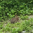 구례향기 이미지