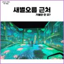 제주 애월 새별오름 근처 아르떼키즈파크, 제주당, 새별프렌즈 농장체험