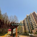 압구정-121 이미지