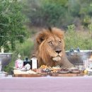 고기굽는 사람들 이미지