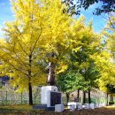 임고초등학교 이미지