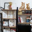 블링더뷰티 이미지