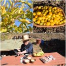 풍요농장 이미지